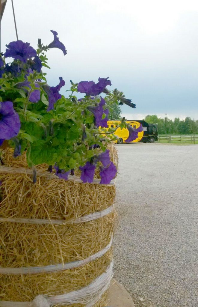 Maneggio Coperto Lecco Scuderia Corsi Equitazione Pensione Per maneggio-coperto-lecco-scuderia-corsi-equitazione-pensione-per